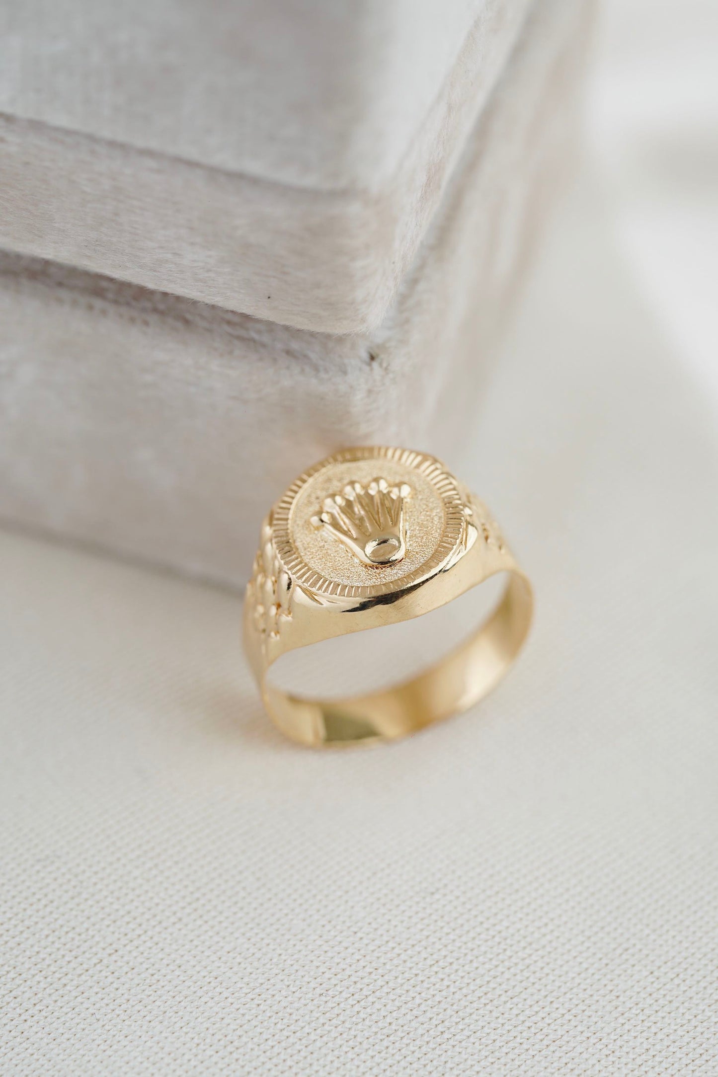 Anillo Rx 3.84gr Talla 10 Oro Amarillo